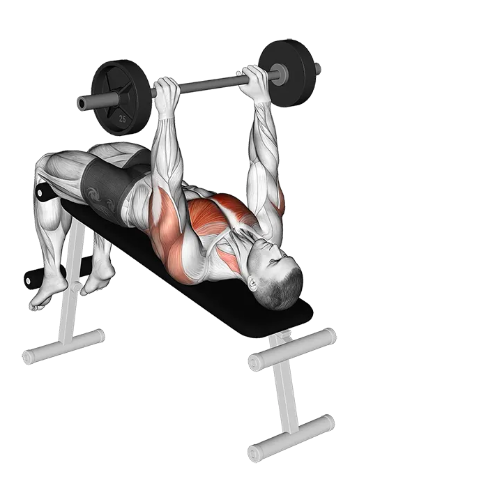 Barbell Decline Pullover exercise animation (Male)