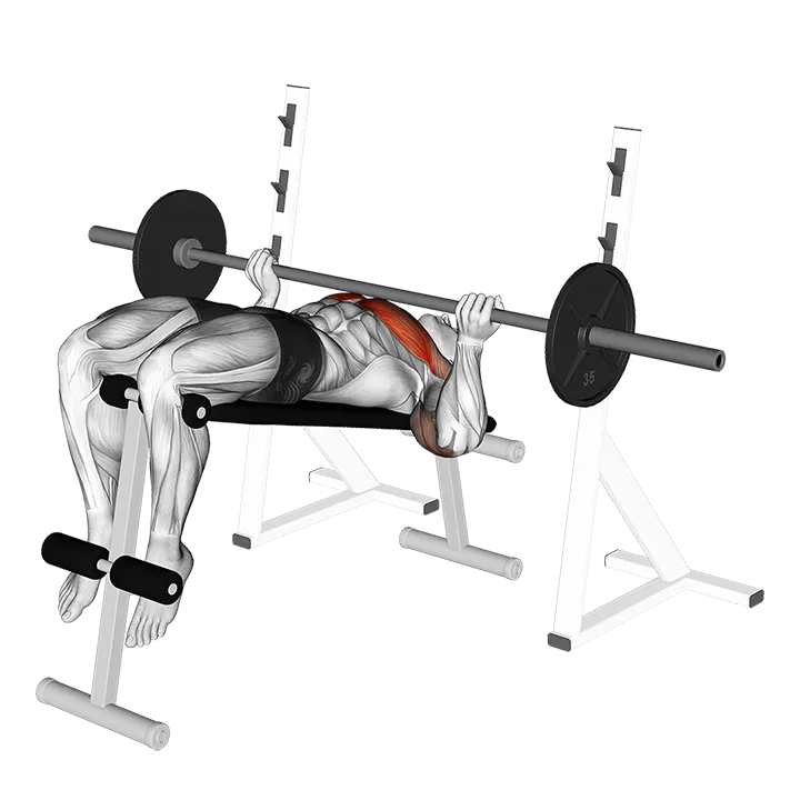 Barbell Reverse Grip Decline Bench Press exercise animation (Male)