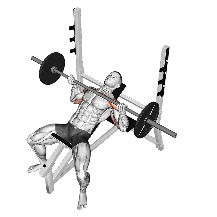 Barbell Reverse Grip Incline Bench Press exercise animation (Male)