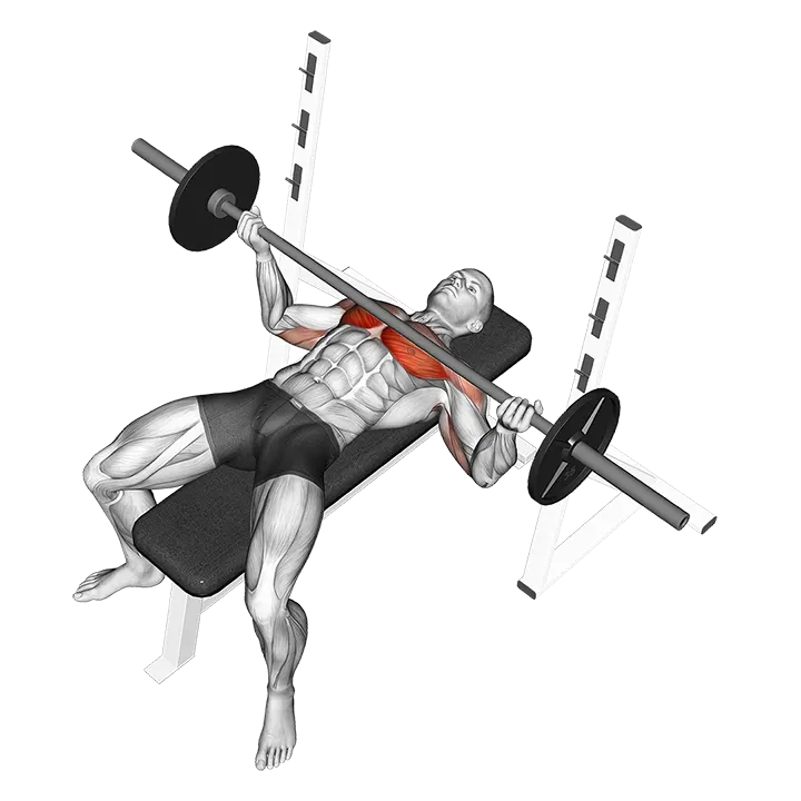 Barbell Wide Reverse Grip Bench Press exercise animation (Male)
