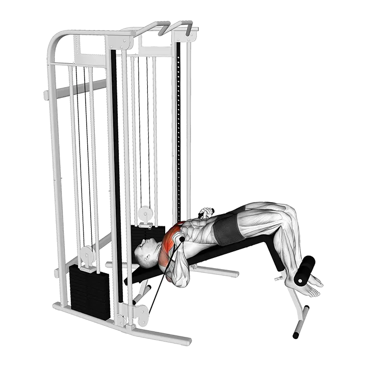Cable Decline Press exercise animation (Male)