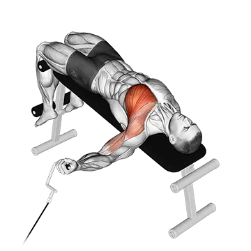 Cable One Arm Decline Chest Fly