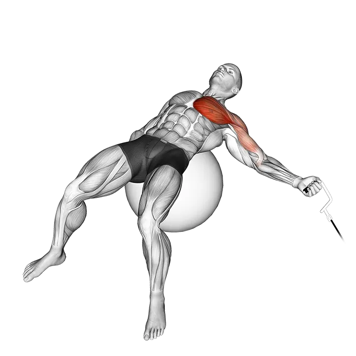 Cable One Arm Fly on Exercise Ball exercise animation (Male)