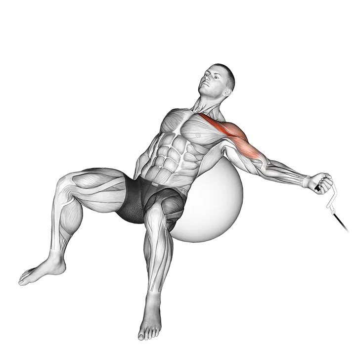 Cable One Arm Incline Fly on Exercise Ball exercise animation (Male)