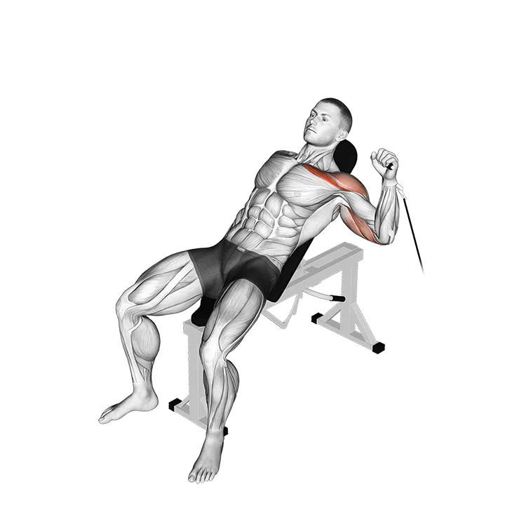 Cable One Arm Incline Press exercise animation (Male)