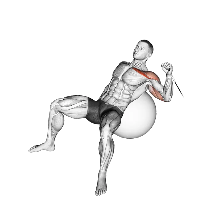Cable One Arm Incline Press on Exercise Ball exercise animation (Male)