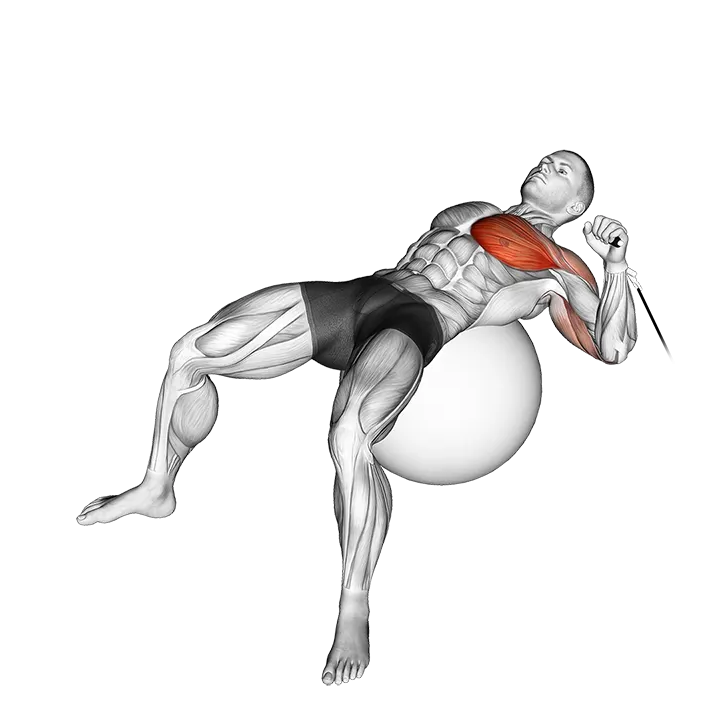 Cable One Arm Press on Exercise Ball exercise animation (Male)
