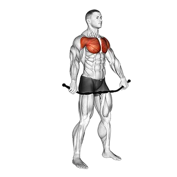 Chest and Front of Shoulder Stretch