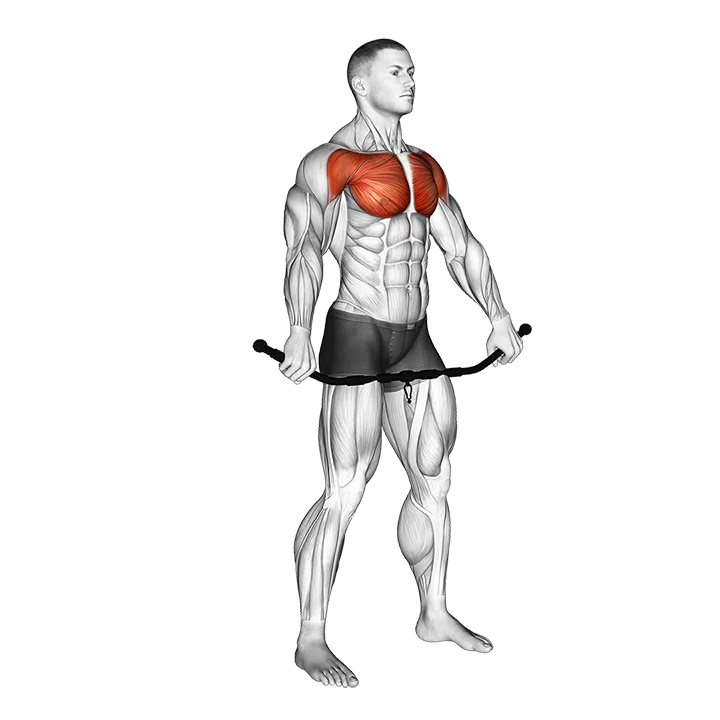 Chest and Front of Shoulder Stretch exercise animation (Male)