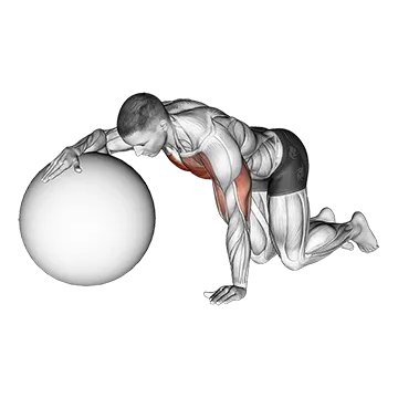 Chest Stretch with Exercise Ball