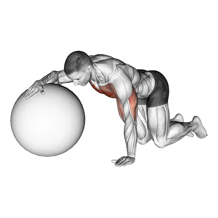 Chest Stretch with Exercise Ball exercise animation (Male)