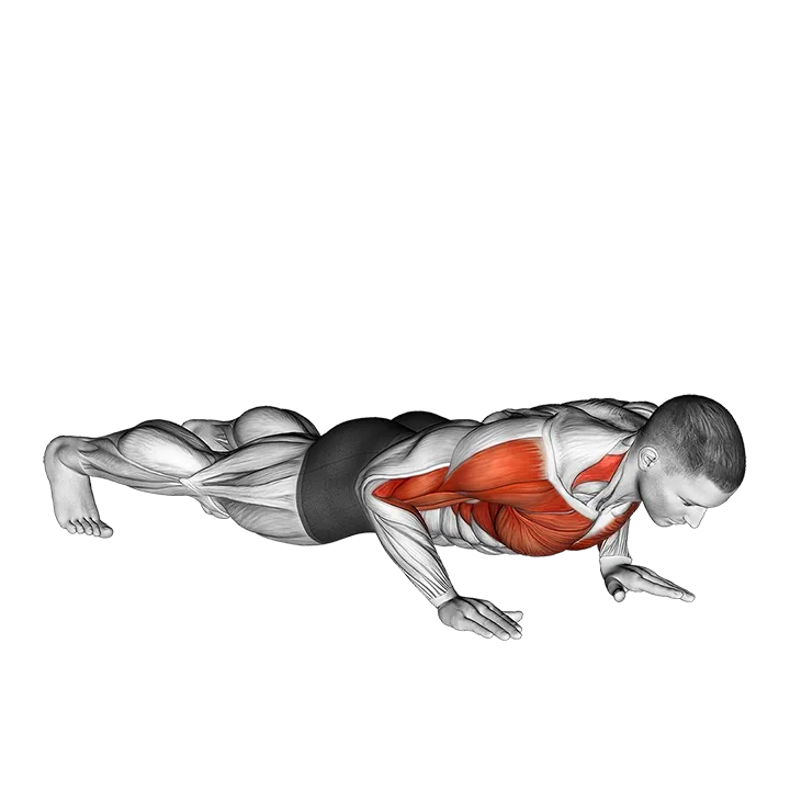 Clap Push Up exercise animation (Male)