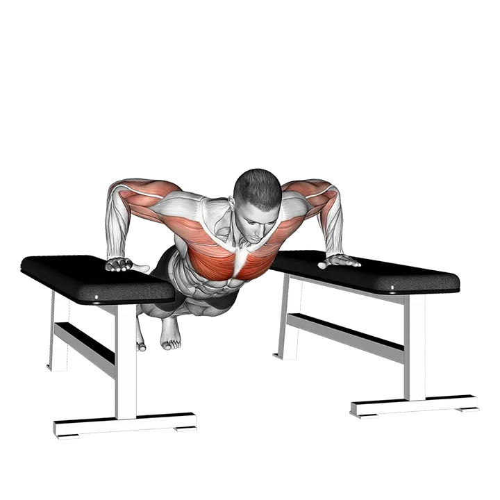 Drop Push Up exercise animation (Male)