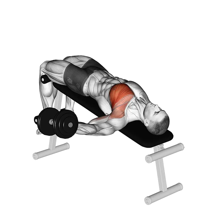 Dumbbell Decline One Arm Fly exercise animation (Male)