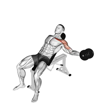 Dumbbell Incline One Arm Fly