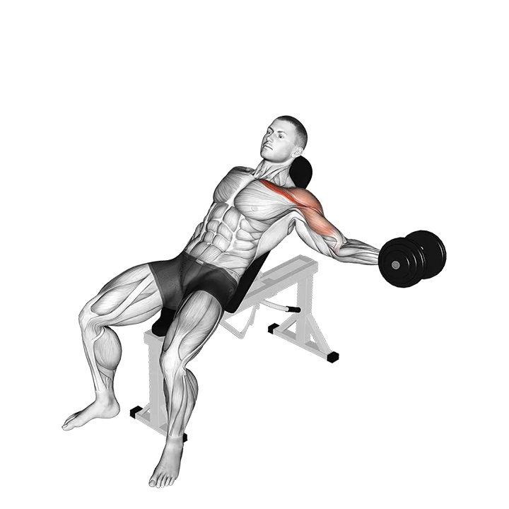 Dumbbell Incline One Arm Fly exercise animation (Male)