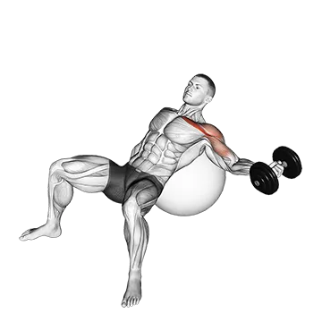 Dumbbell Incline One Arm Fly on Exercise Ball
