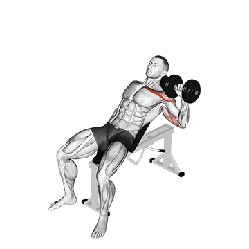Dumbbell Incline One Arm Press