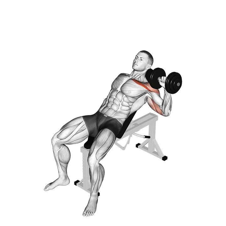 Dumbbell Incline One Arm Press exercise animation (Hombre)