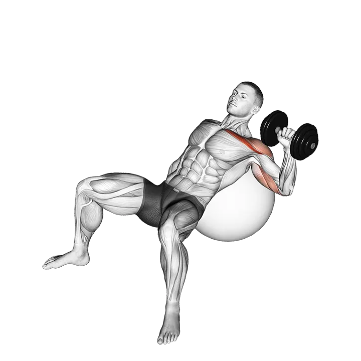 Dumbbell Incline One Arm Press on Exercise Ball exercise animation (Male)