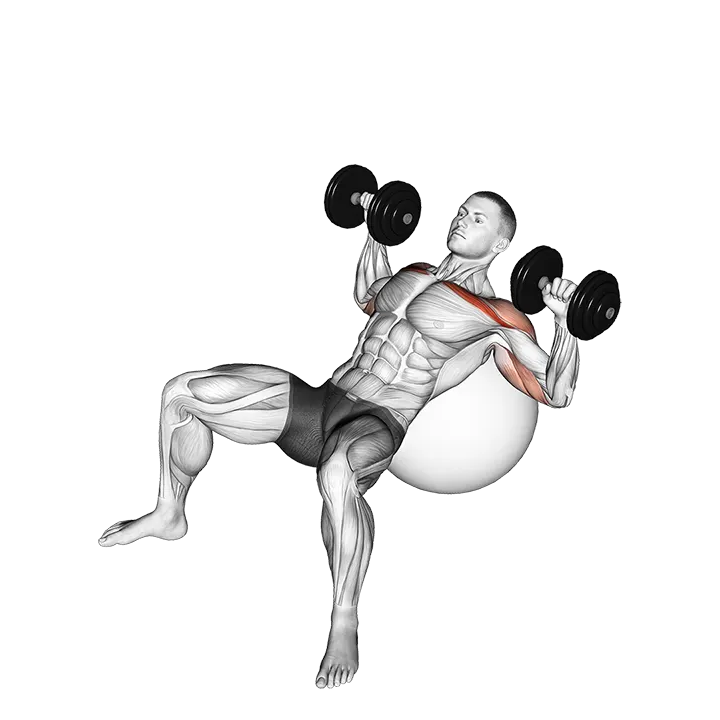 Dumbbell Incline Press on Exercise Ball exercise animation (Male)