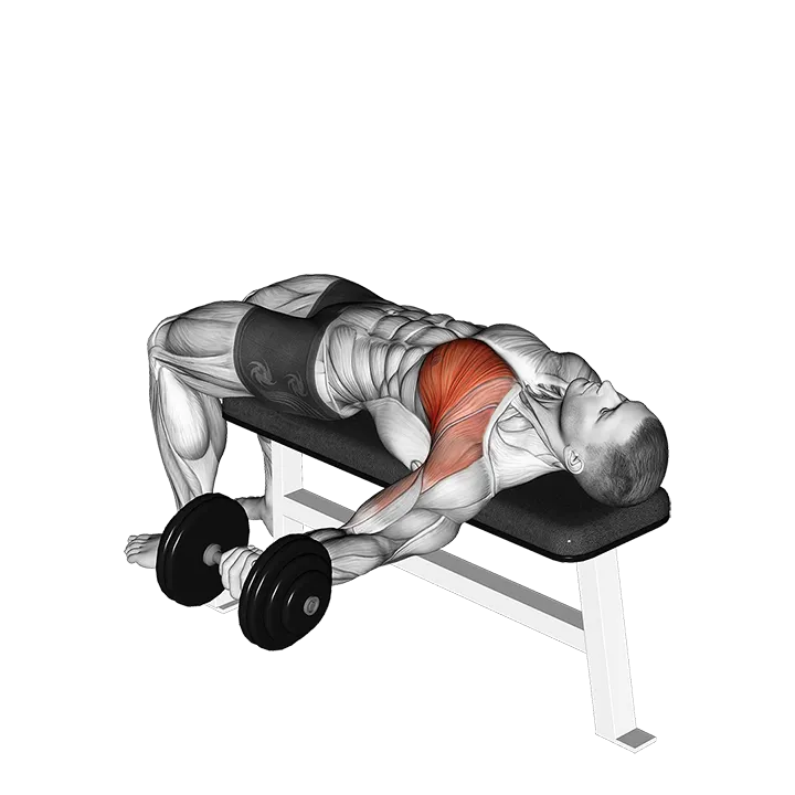Dumbbell One Arm Bench Fly exercise animation (Male)