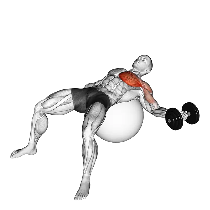 Dumbbell One Arm Chest Fly on Exercise Ball exercise animation (Male)