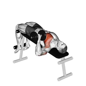 Dumbbell One Arm Decline Chest Press