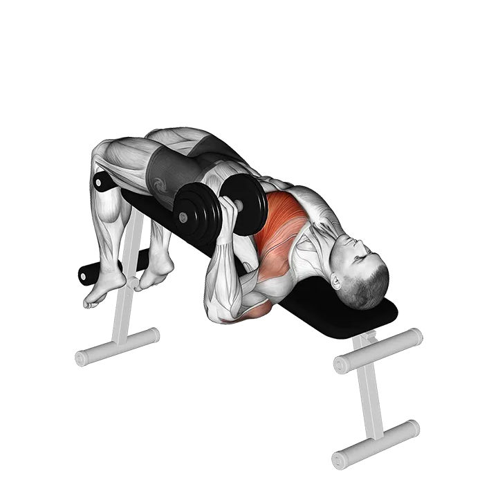 Dumbbell One Arm Decline Chest Press exercise animation (Male)
