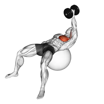 Dumbbell One Arm Fly on Exercise Ball