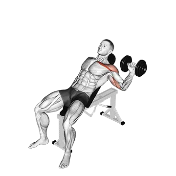Dumbbell One Arm Incline Chest Press