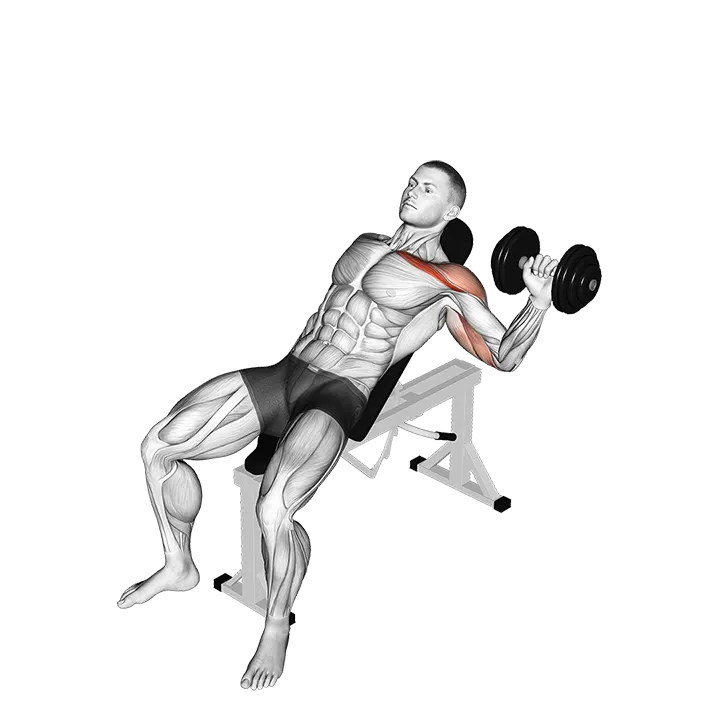 Dumbbell One Arm Incline Chest Press exercise animation (Male)