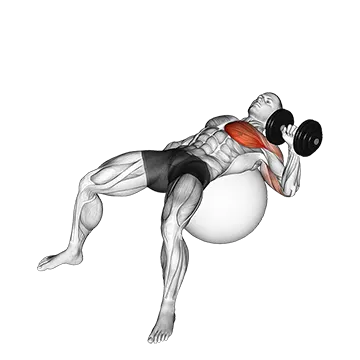 Dumbbell One Arm Press on Exercise Ball