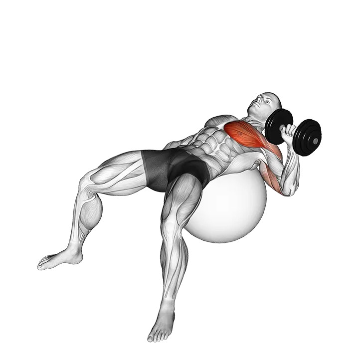 Dumbbell One Arm Press on Exercise Ball exercise animation (Male)