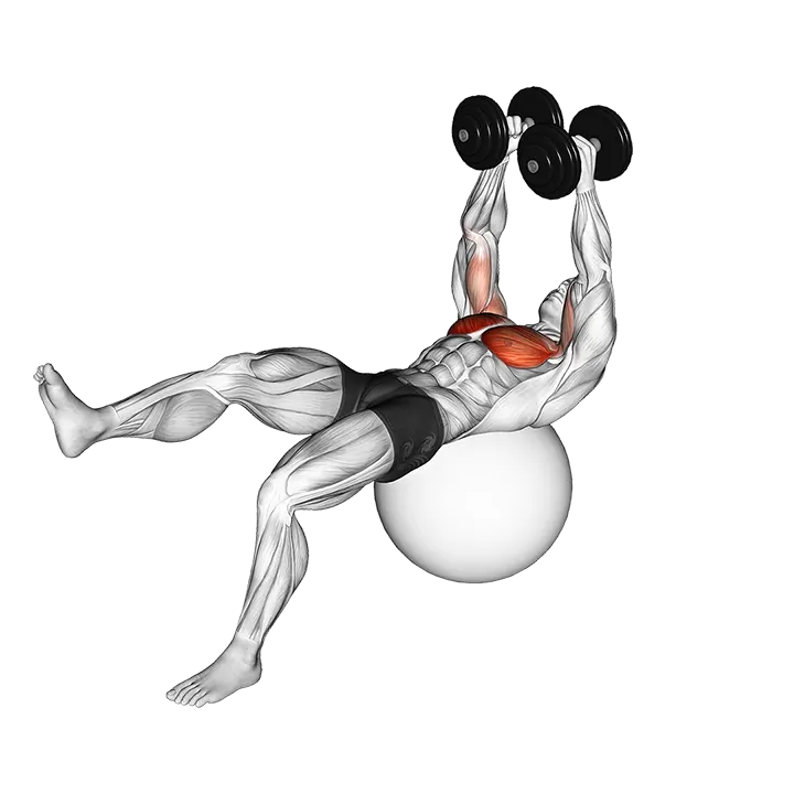 Dumbbell One Leg Fly on Exercise Ball exercise animation (Male)