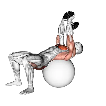 Dumbbell Pullover Hip Extension on Exercise Ball