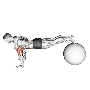 Exercise Ball Pike Push up