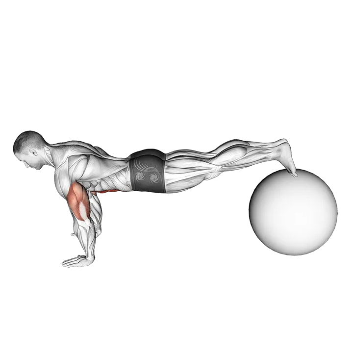 Exercise Ball Pike Push up exercise animation (Male)