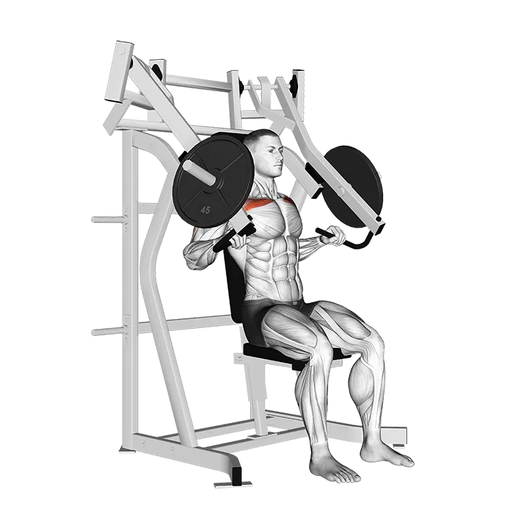 Lever Incline Chest Press exercise animation (Male)