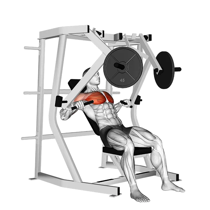 Lever Decline Chest Press exercise animation (Male)