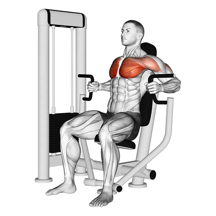 Machine Inner Chest Press exercise animation (Male)