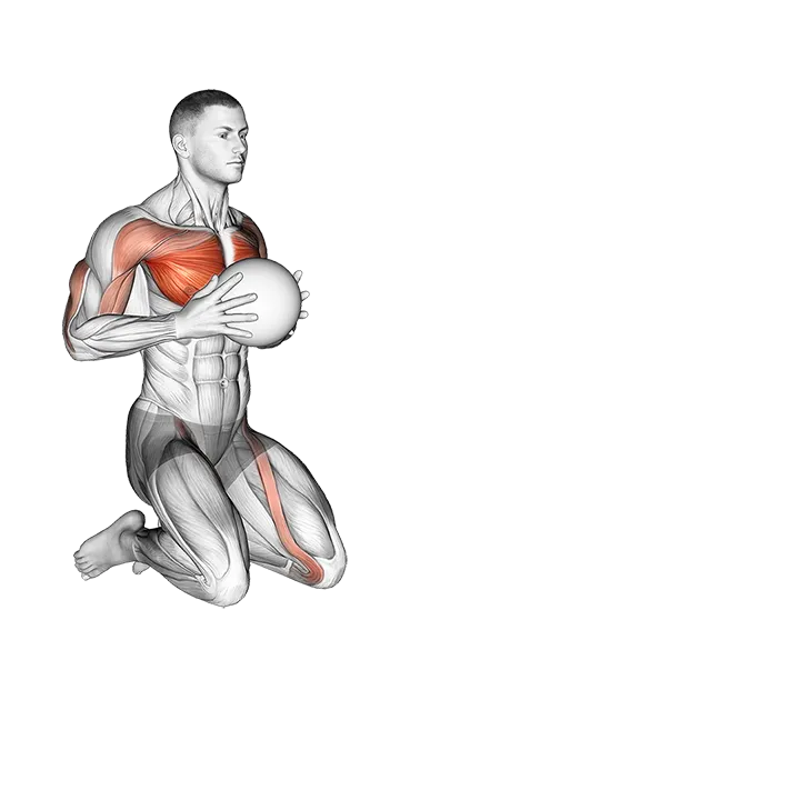 Medicine Ball Chest Push Single Response exercise animation (Male)