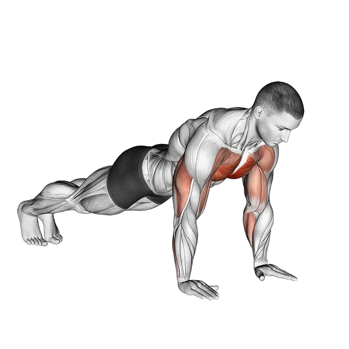 Plyo Push Up exercise animation (Male)