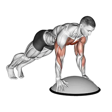 Push Up on Bosu Ball