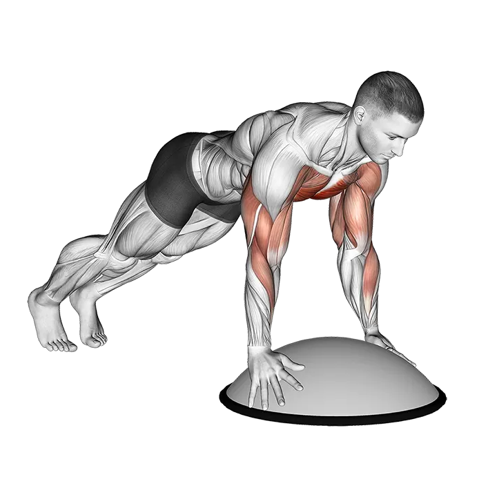 Push Up on Bosu Ball exercise animation (Hombre)