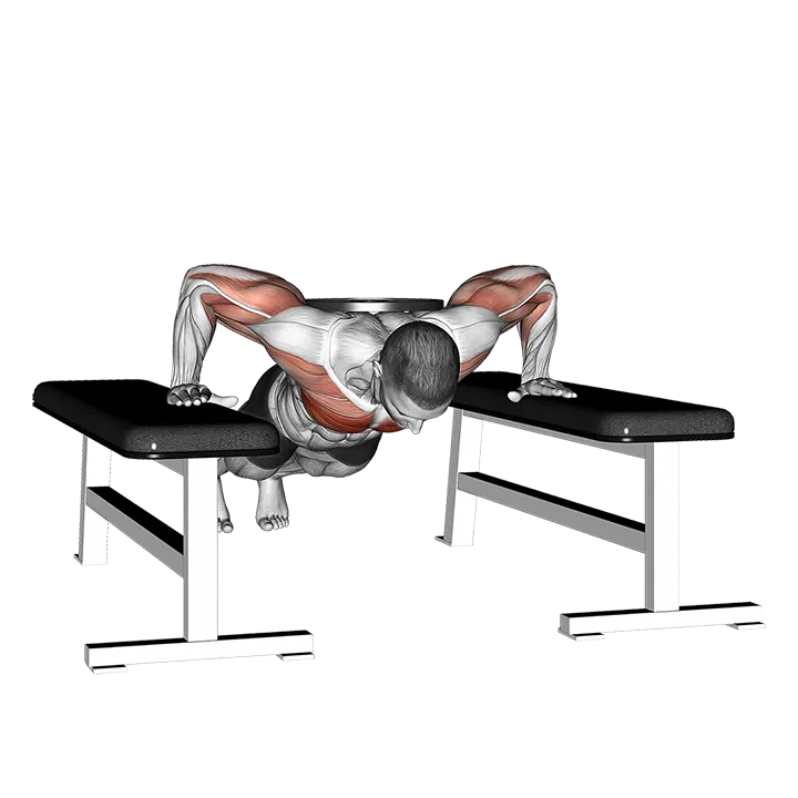 Weighted Drop Push Up exercise animation (Male)