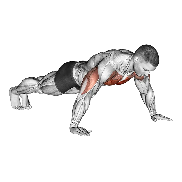 Wide Hand Push up exercise animation (Male)