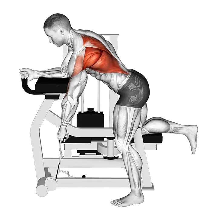 Lever Unilateral Row exercise animation (Male)