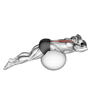 Back Extension on Exercise Ball