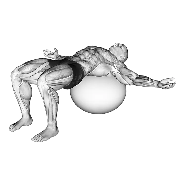 Back Relaxation exercise animation (Male)